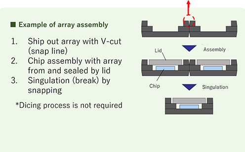 Example of array assembly